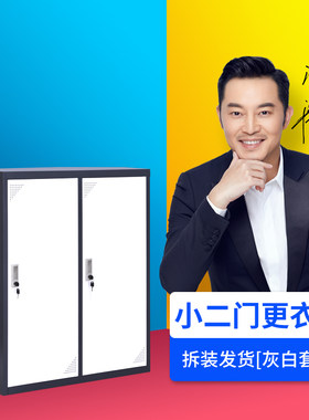 更衣柜员工储物柜带锁小二门收纳柜存包柜矮柜鞋柜阳台柜铁皮小柜