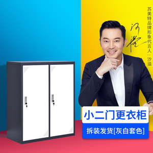 更衣柜员工储物柜带锁小二门收纳柜存包柜矮柜鞋柜阳台柜铁皮小柜
