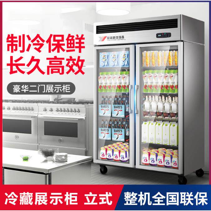 两双门冷藏柜立式冰柜商用冰箱家用冷柜蔬菜冷藏保鲜展示柜