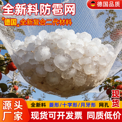 防雹网果园防鸟网葡萄网园艺防冰雹网全新白色聚乙烯厂家直销防护