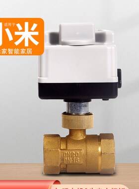 手自一体电动二三通球阀220v24v12v常闭黄铜丝扣水阀阀门电动球阀