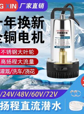 高扬程农用新款直流潜水泵12V24V48V60V潜水泵电动车家用农用电泵