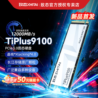 致态长江存储 2TB SSD固态硬盘 NVMe M.2接口 TiPlus9100 系列