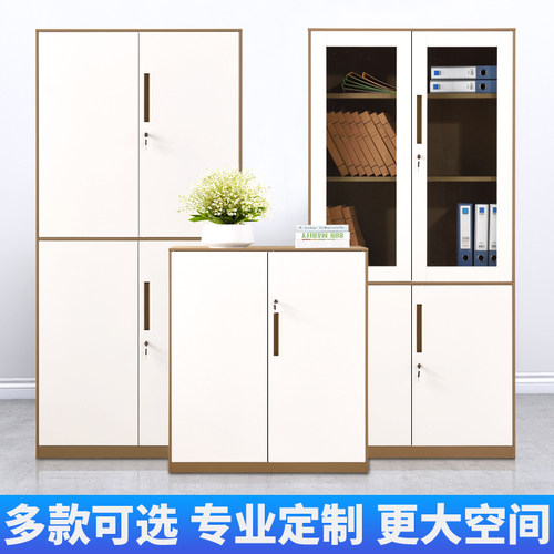 办公室文件柜铁皮柜带锁资料柜档案柜书柜财务多层凭证柜子收纳柜