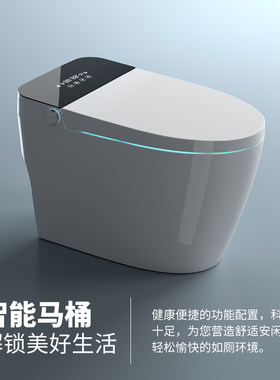 一体式智能马桶全自动家用翻盖虹吸烘干多功能恒温杀菌除臭坐便器