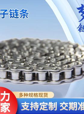 现货供应48A-1 48A-2单排双排链条 工业用传动链条 链条 顶立链条