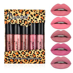 哑光雾面唇釉五只迷你装套盒唇彩口红 裸色南瓜色Matte Lip Gloss
