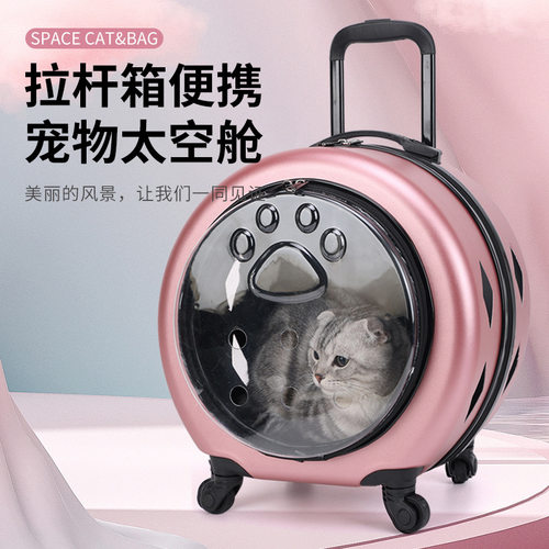 宠物拉杆箱批发猫咪包透明加固便携PC猫咪狗狗推车外出宠物航空箱
