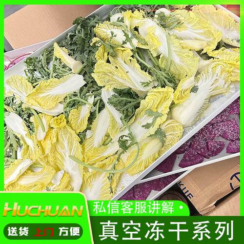 平方冻干机果UME蔬冻干冻机干机设真备空3冷冻干燥机