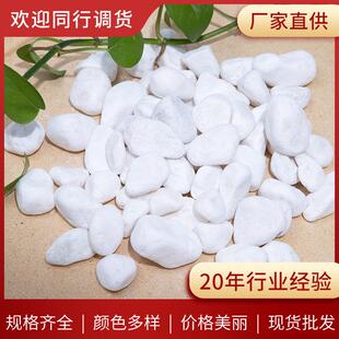 白色鹅卵石机制雪花白盆栽装饰白石子鹅卵石园艺庭院造景雪花白