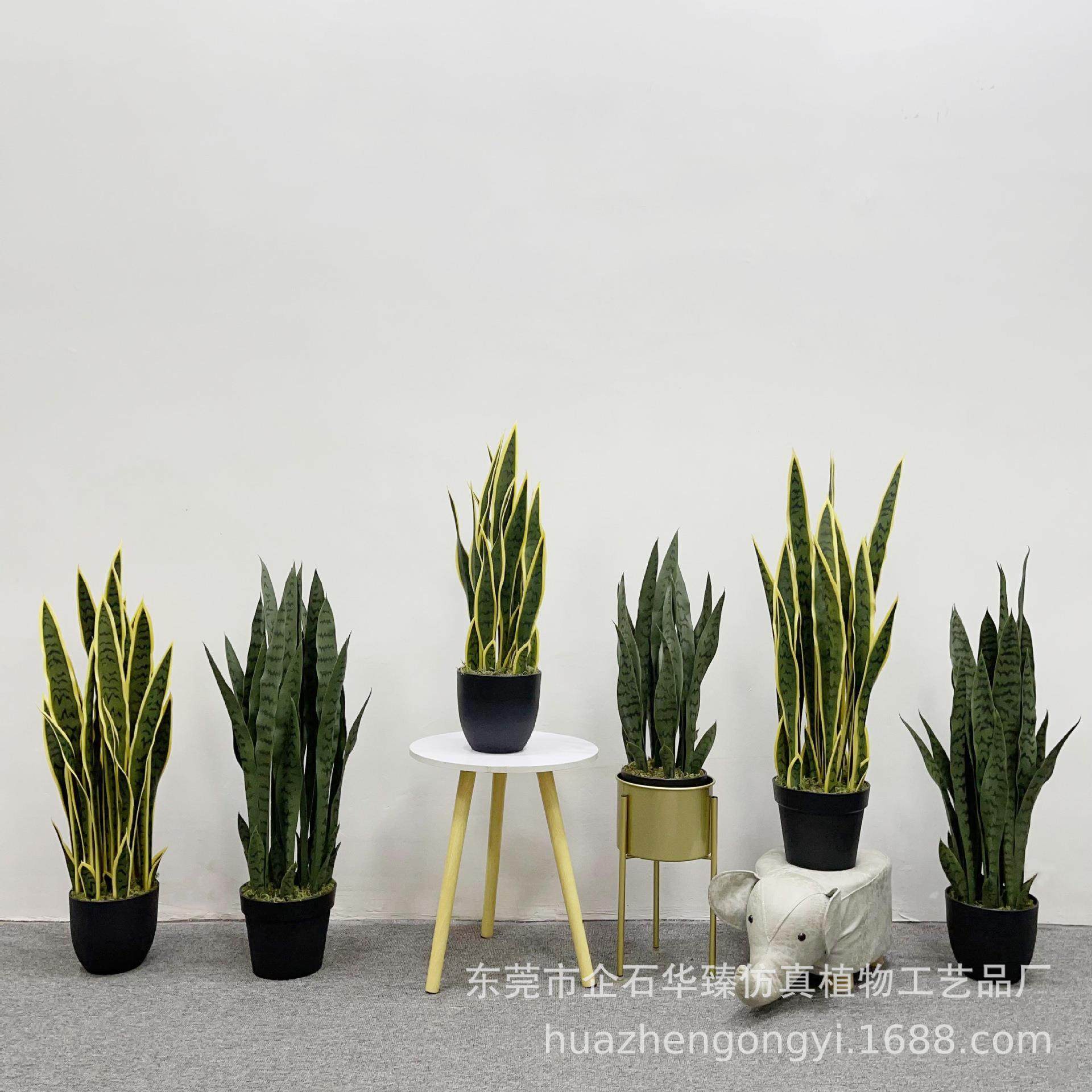 仿真虎皮兰 龙舌兰室内盆栽假树仿真植物装饰造景绿植,家居饰品,仿真植物盆景,淘宝优惠券,粉丝福利购,淘宝优惠卷