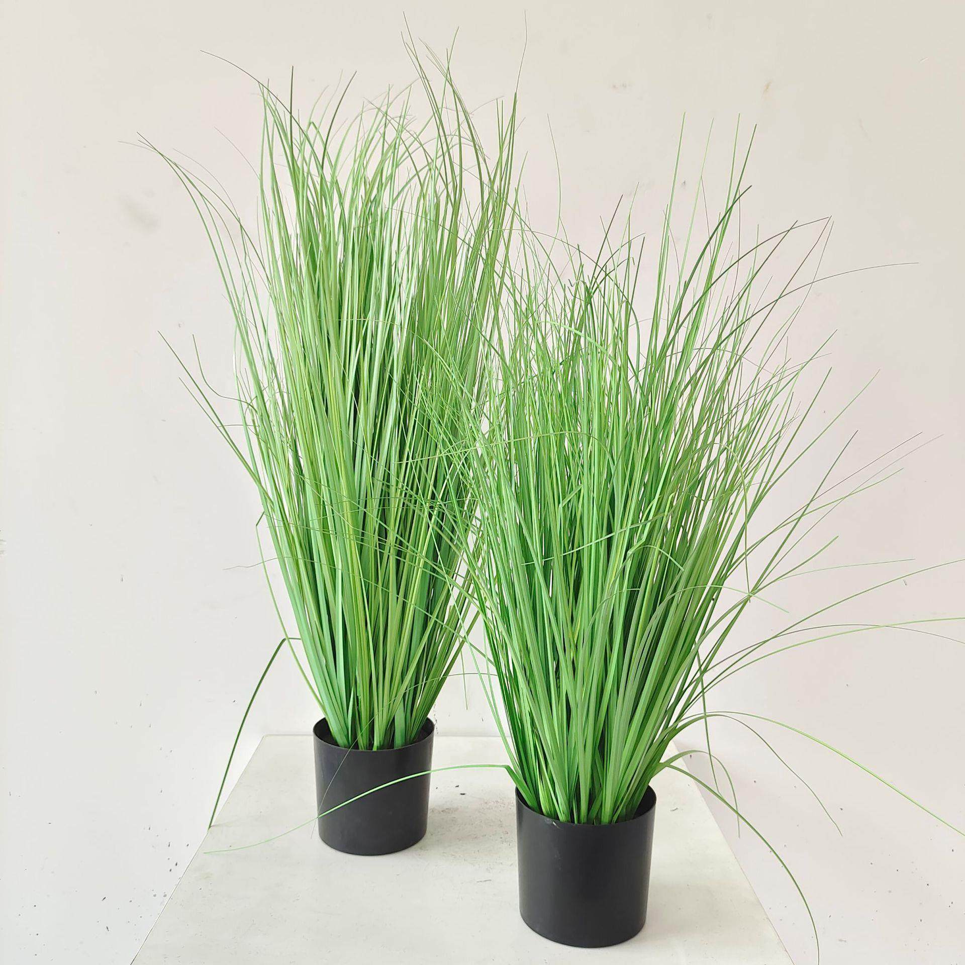 ins风格仿真绿植盆栽家居落地饰品摆件仿真洋葱草芦苇现货真,家居饰品,仿真植物盆景,淘宝优惠券,粉丝福利购,淘宝优惠卷
