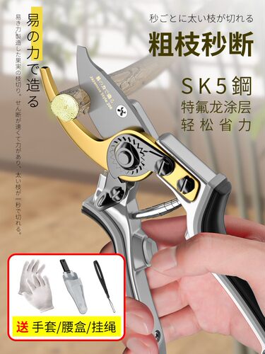 果树剪树枝专用园林剪枝修剪神器枝剪剪花剪子花剪园艺剪刀修枝剪