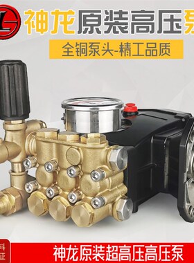 神龙1515型1018型1212型1220型2515高压清洗机洗车机刷车高压泵头