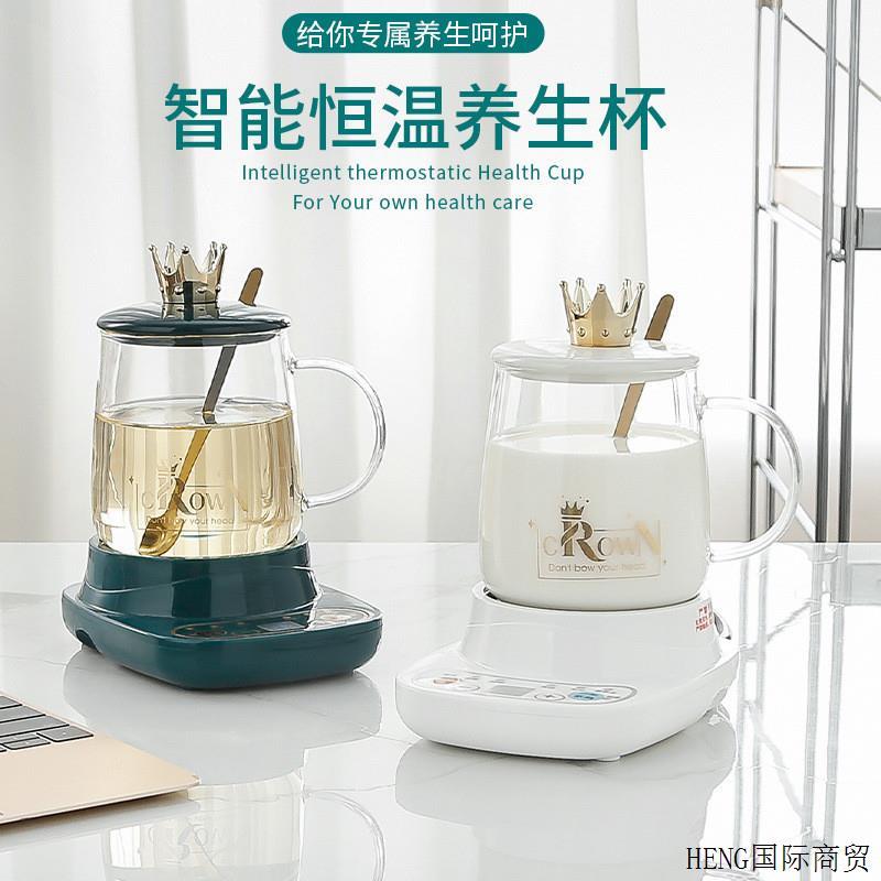 多功能加热烧水杯迷你电炖杯办公室花茶玻璃电热养生杯小型电炖盅