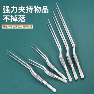 304不锈钢枪状镊子植物组织钳加厚聂子带齿采耳掏耳朵工具鱼刺夹