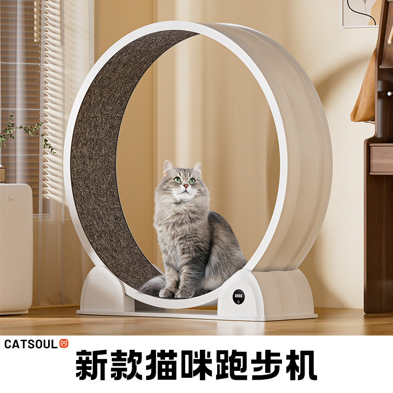 新款智能数显ABS猫咪跑步机大直径塑料猫轮宠物健身静音滚轮玩具