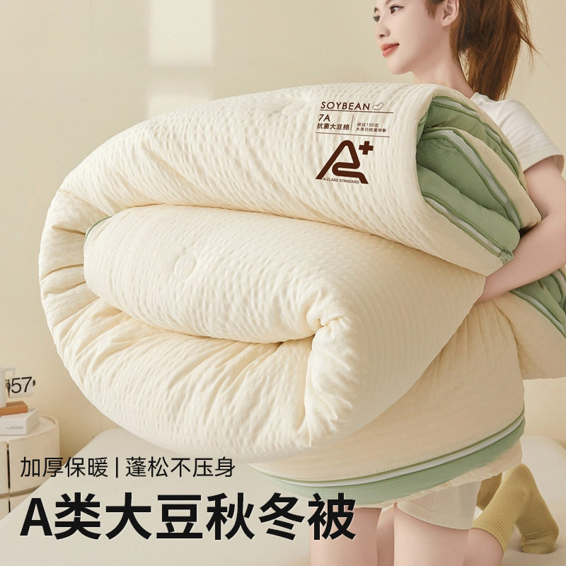 「次日达」大豆纤维被子被芯春秋被加厚保暖冬被子母被二合一拉链,床上用品,化纤被,淘宝优惠券,粉丝福利购,淘宝优惠卷