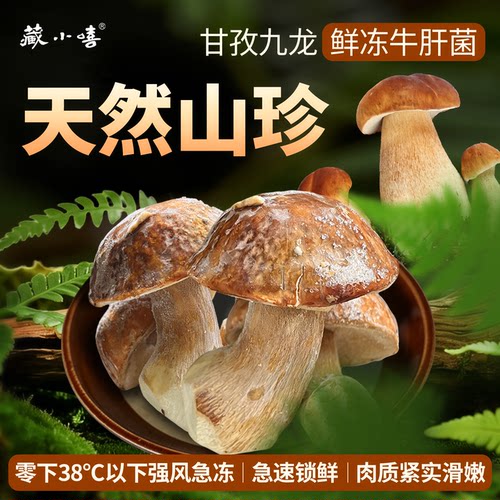 藏小嘻四川鲜冻牛肝菌炖汤山珍菌