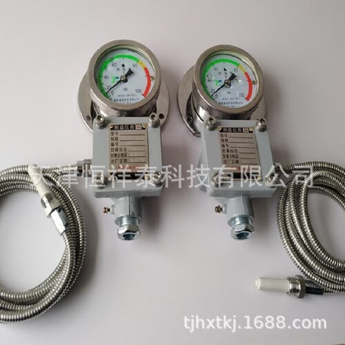 供应WTZd-285z防震测温表防爆表WTZD-285d