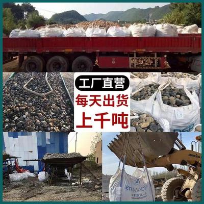 铺路河道鹅卵石电站变压器石河卵石园林造景鱼缸石头河滩石豆石