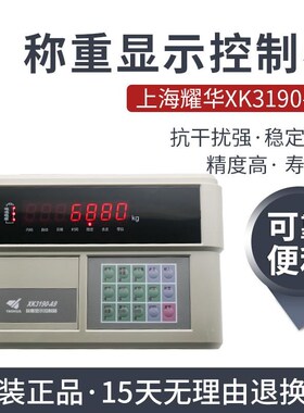 上海耀华XK3190-A9+P仪表称重显示器A9打印仪表电子秤地磅仪表A9