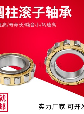无外圈圆柱滚子轴承RN305M 306 307 308 309 310 311 312 313EM