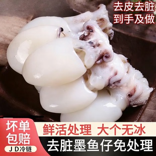 万船鱼墨鱼仔新鲜冷冻大号去皮去内脏免清理乌贼鱿鱼捞汁小海鲜