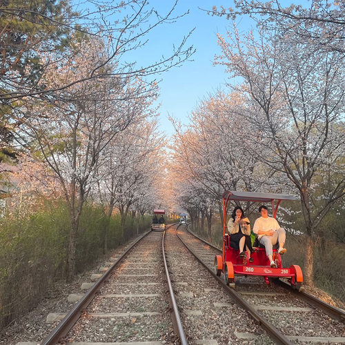 景区铁轨上的脚踏板行驶自行车铁路自行车铁轨脚踏车轨道手推车