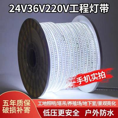 36v灯带led超亮工地隧道地下室工程户外照明24v防水灯条白光低压