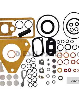 7135-110 repair kit 9059-041A喷油泵CAV DPA气缸密封件维修套件