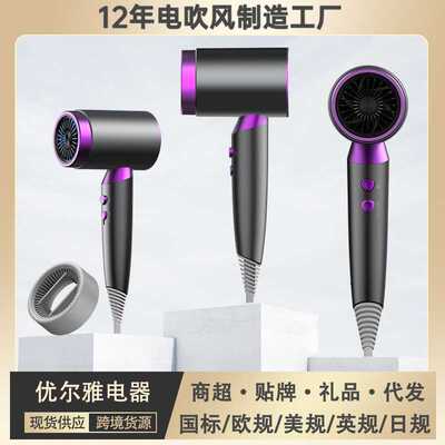 电吹风机家用负离子不伤发廊大功率2000W 高速风筒hair dryer