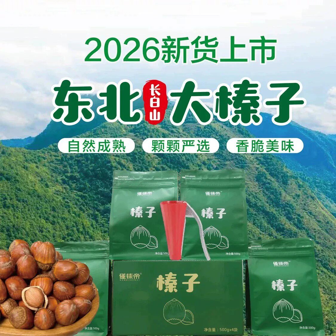 懂榛帝东北大榛子当季新货自然成熟高端营养坚果榛子东北榛子炒熟