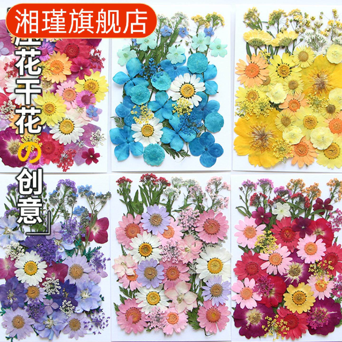干花压花押花材料包含真花瓣书签