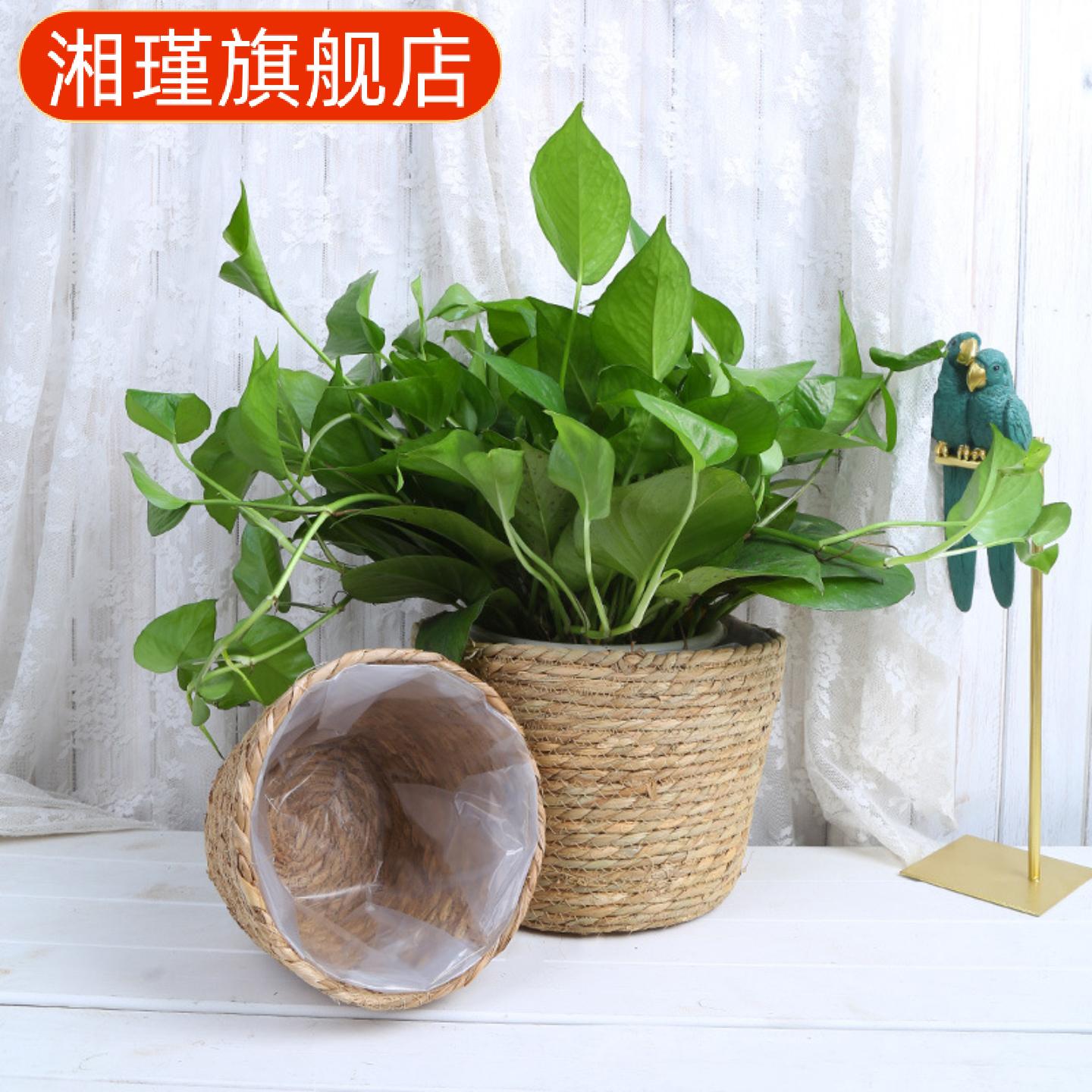 热卖草编藤编花篮创意家居装饰