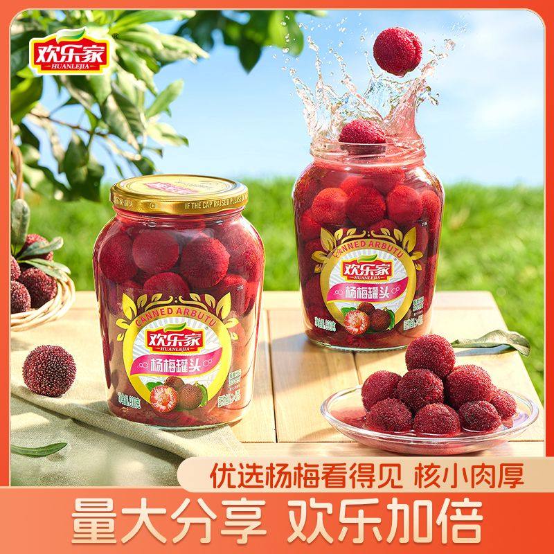 欢乐家杨梅罐头900g*3大瓶新鲜糖水杨梅水果罐头餐饮原料批发正品,水产肉类/新鲜蔬果/熟食,水果罐头,淘宝优惠券,粉丝福利购,淘宝优惠卷