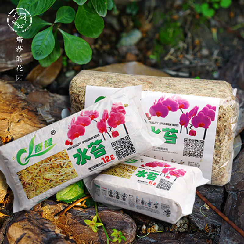 塔莎的花园 水苔干水苔蝴蝶兰花专用土苔藓石斛植物栽培保湿透气