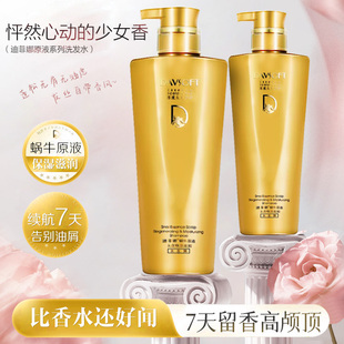 迪菲娜女士洗发水套装滋润止痒柔顺控油持久留香理发店原液洗发露