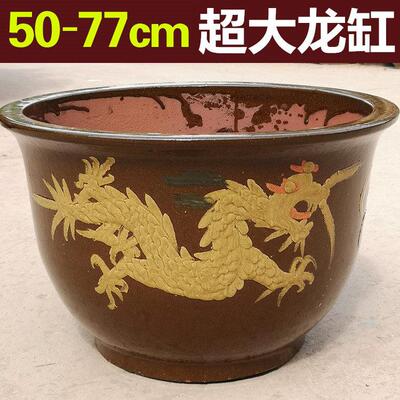 陶瓷龙缸大花盆50cm60cm80cm口径特大号花盆庭院落地种树铁树花盆
