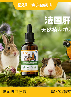 E2P奶蓟草宠物肝精鹦鹉兔子蜜袋鼯仓鼠豚鼠鸟类专用水飞蓟护肝液