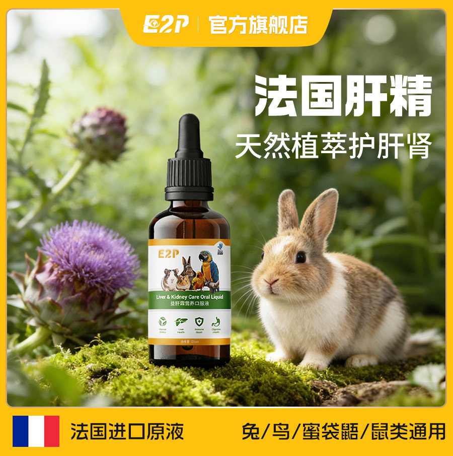 E2P护肝液仓鼠豚鼠龙猫鹦鹉兔子通用奶蓟草水飞蓟法国原液肝精