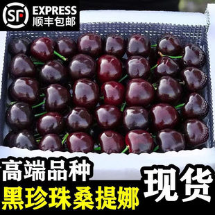 胖超市东来瑞吉娜车厘子甜智利桑提娜大樱桃新鲜水果黑珍珠礼盒