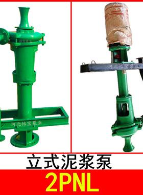 厂家销售2PNL立式泥浆泵 打桩机清淤泵 11KW