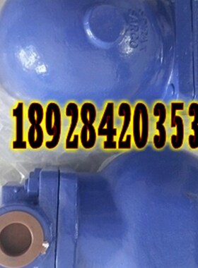 进口英国疏水阀 斯派莎克蒸汽疏水阀 FT14HC浮球式疏水阀DN25 1寸