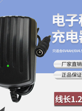 百鹰电子吊秤充电器电源线通用型包邮电子称6v电池圆孔冲电器配件