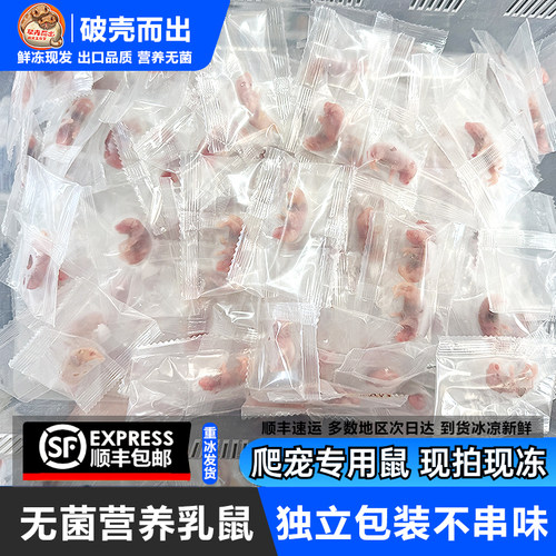 冷冻小白鼠乳鼠红皮无菌冻鼠