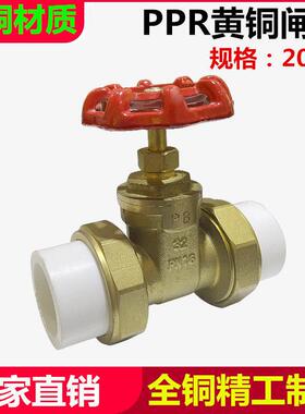 PPR双活接闸阀4分6分20 25 32 40 50 63水管热熔全铜阀门开关配件