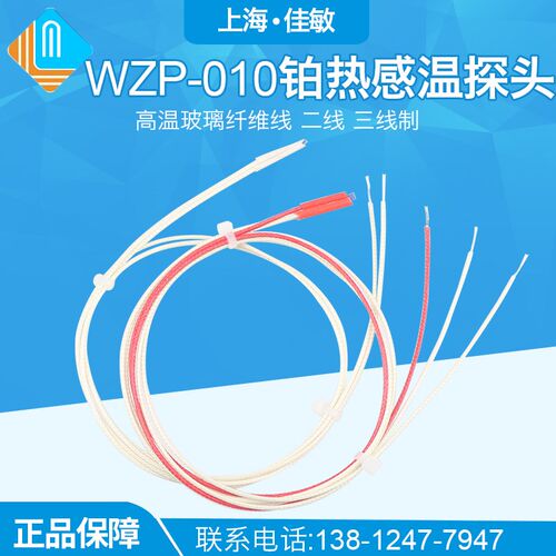裸体PT100高温温度传感器表面测温PT1000细小wzp-010铂热感温探头