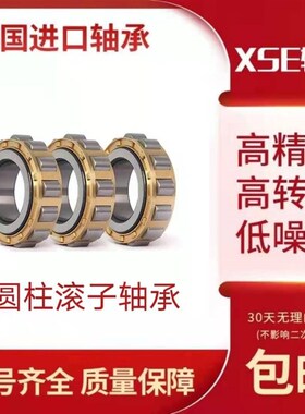 XSE进口轴承N NU NJ RN NUP 2228 2230 2232 2234 EW EM C3