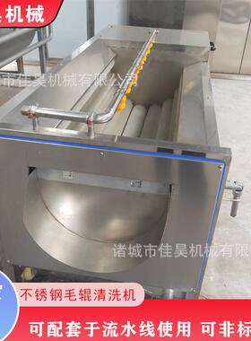 大型不锈钢毛辊去泥机土豆脱皮清洗一体机花生土豆去泥清洗机小型